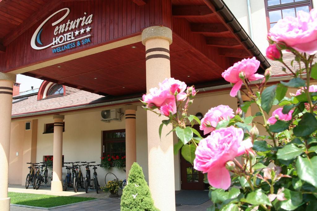 Hotel Centuria & Natural 3*